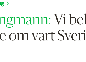 ”Vi behöver en berättelse om vart Sverige är påväg” – artikel i Borås Tidning